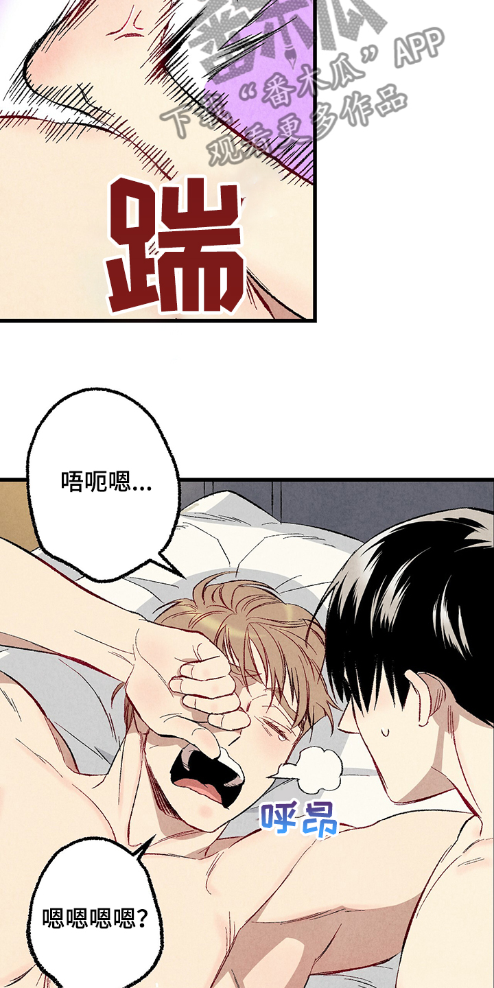 《完美伴侣》第61章【第二季】我真的跟他 第12页
