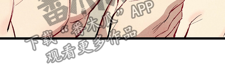《完美伴侣》第61章【第二季】我真的跟他 第16页