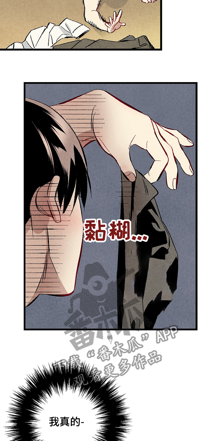 《完美伴侣》第61章【第二季】我真的跟他 第20页