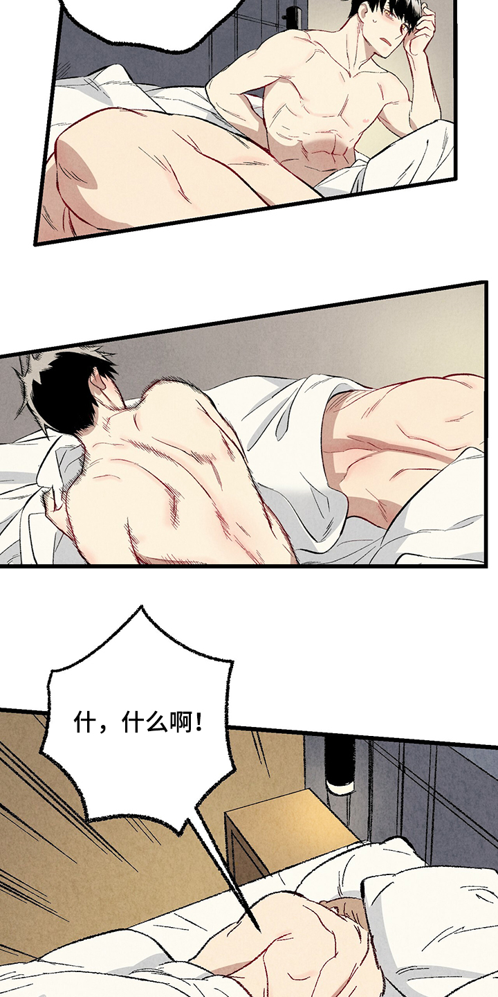 《完美伴侣》第61章【第二季】我真的跟他 第5页