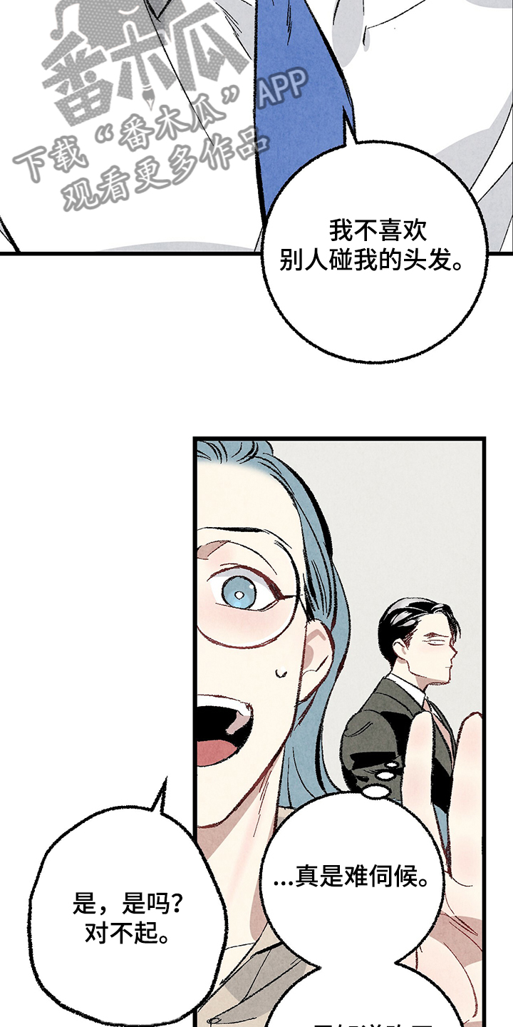 《完美伴侣》第63章【第二季】故意挑衅 第3页