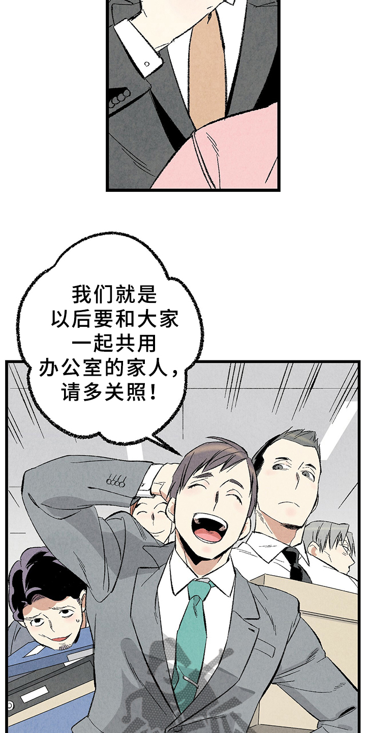 《完美伴侣》第64章【第二季】原来如此 第19页