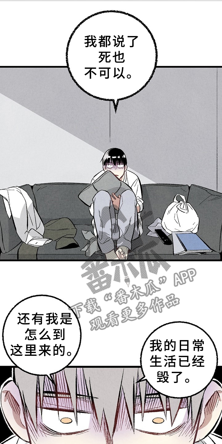 《完美伴侣》第64章【第二季】原来如此 第5页