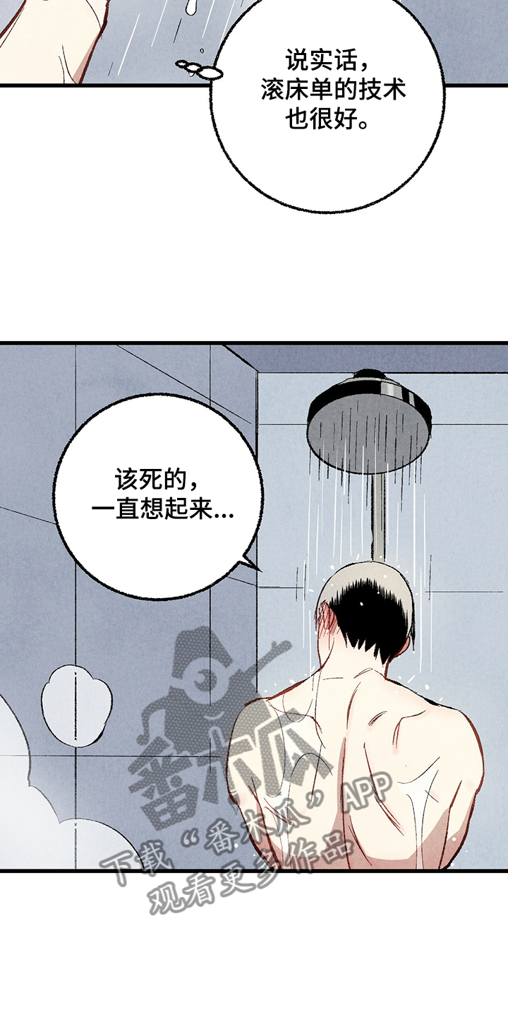 《完美伴侣》第62章【第二季】若无其事 第14页
