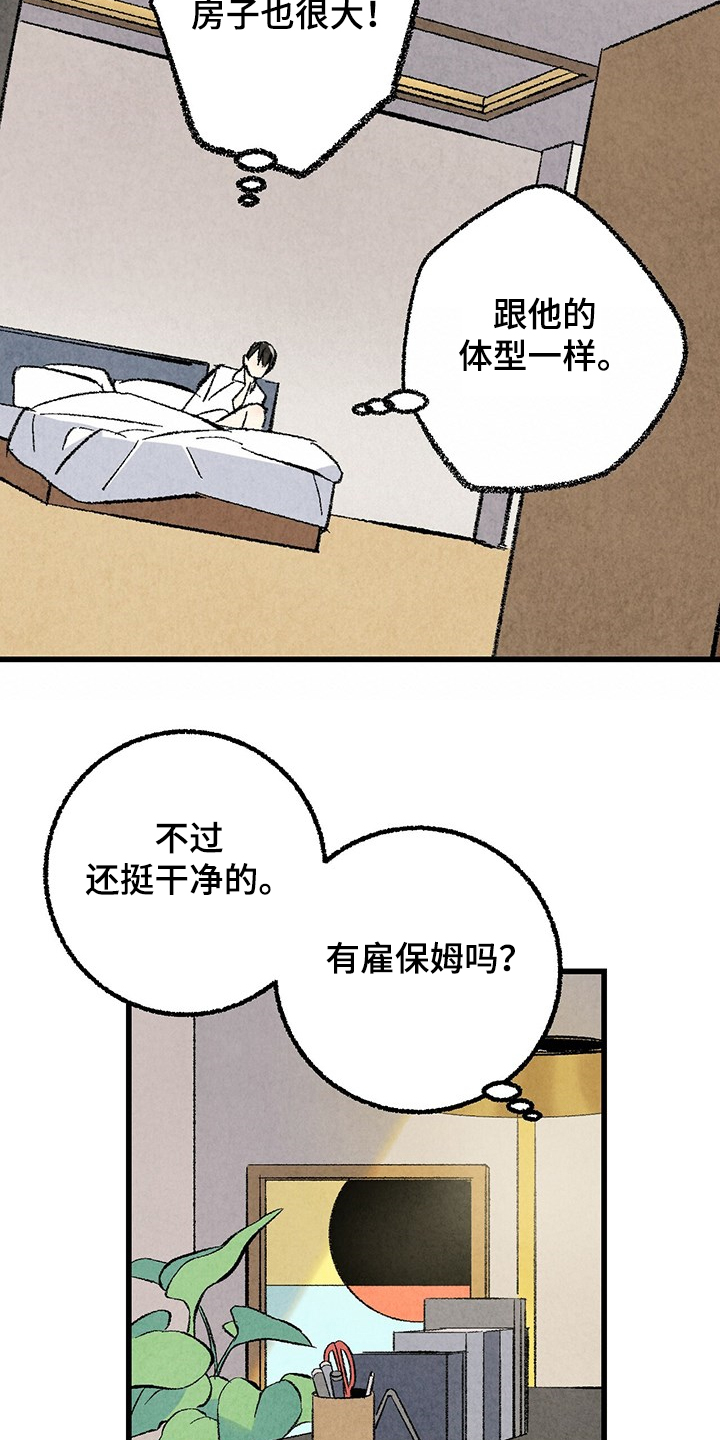 《完美伴侣》第62章【第二季】若无其事 第8页