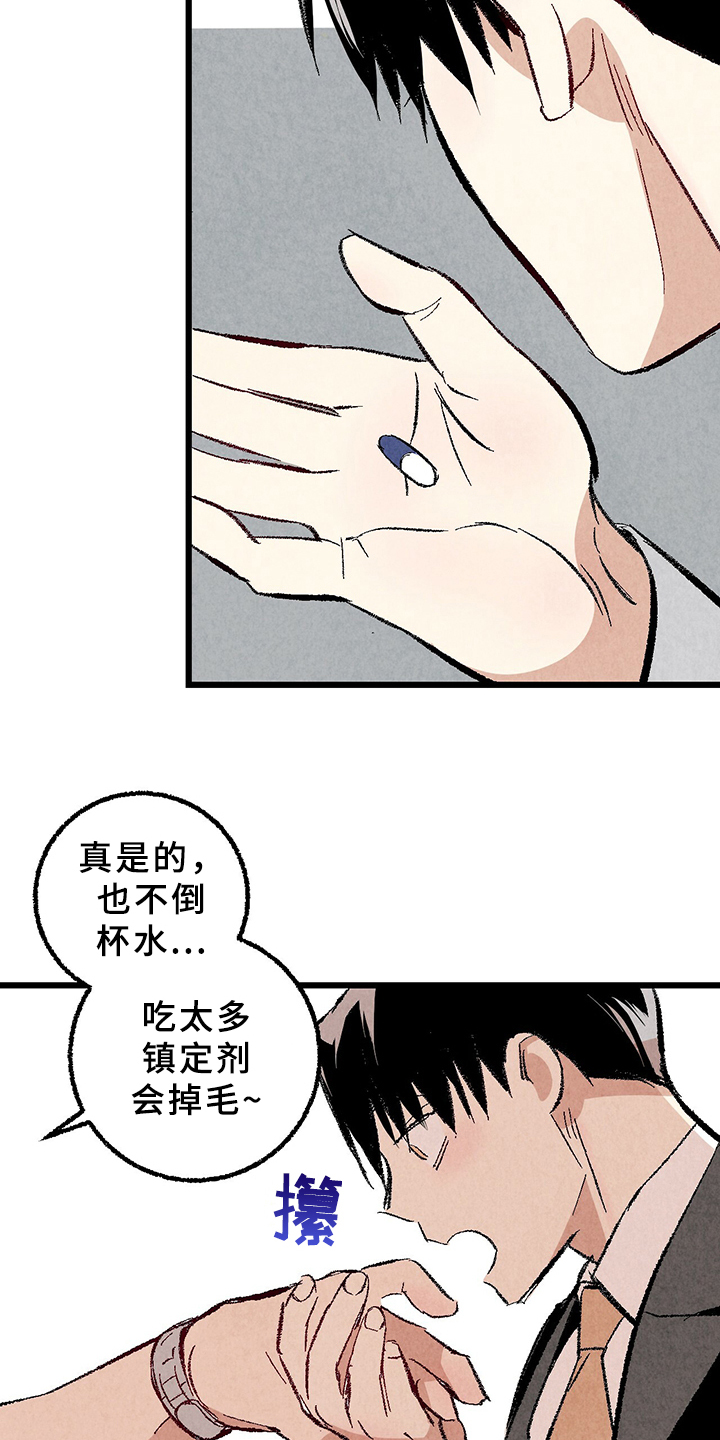《完美伴侣》第65章【第二季】亿点点地方 第17页