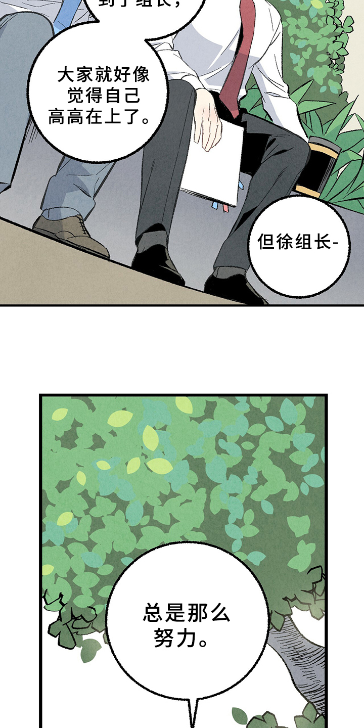 《完美伴侣》第67章【第二季】打扫一下吧 第12页