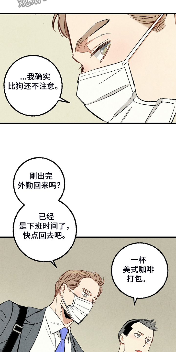 《完美伴侣》第70章【第二季】真不客气 第21页
