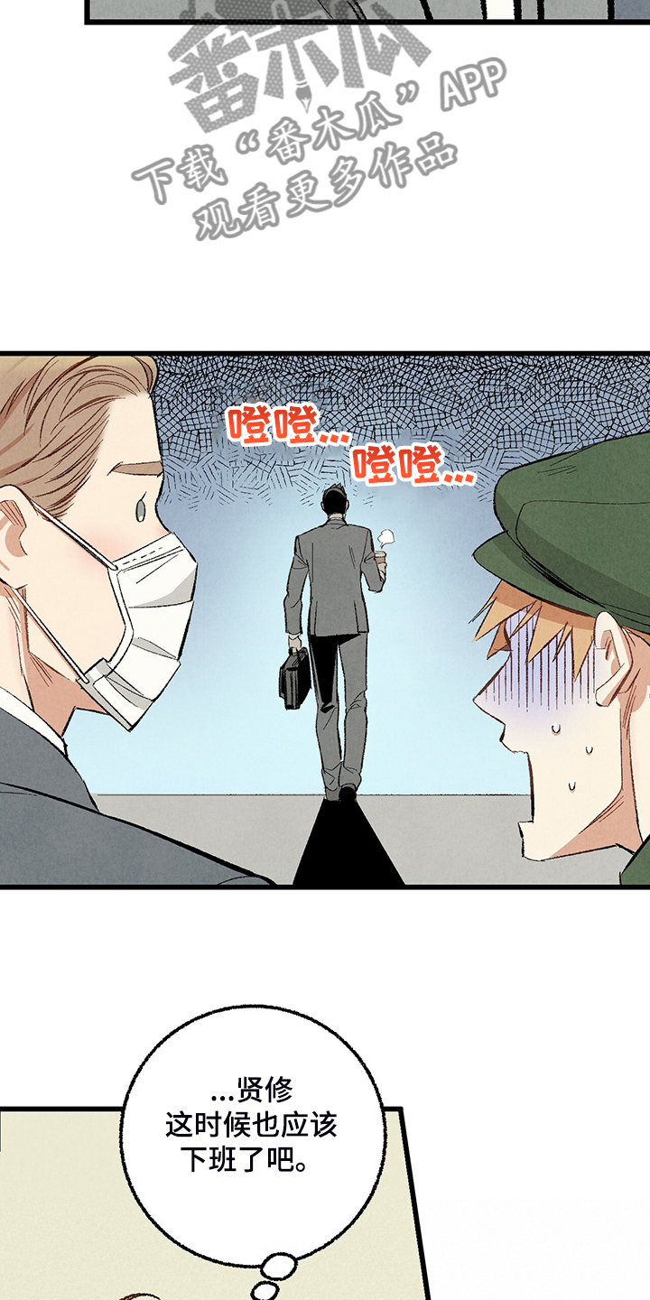 《完美伴侣》第70章【第二季】真不客气 第24页