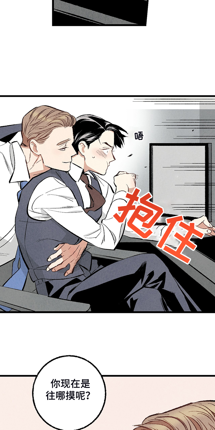 《完美伴侣》第68章【第二季】是你要求的 第19页