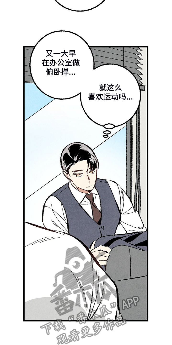 《完美伴侣》第68章【第二季】是你要求的 第8页