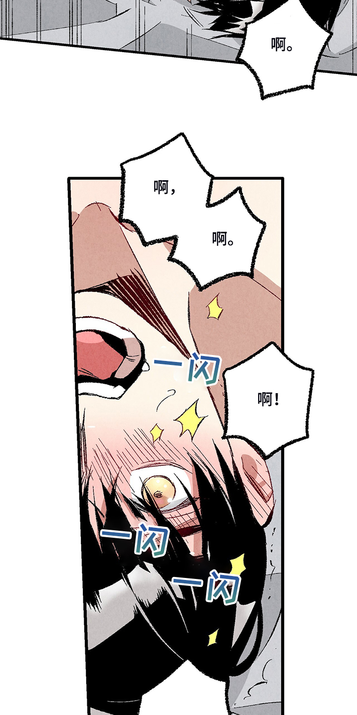 《完美伴侣》第75章【第二季】我才刚开始 第14页