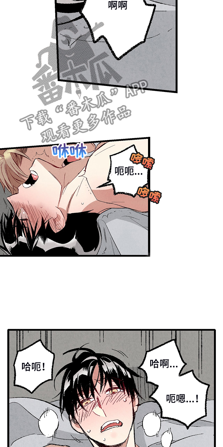 《完美伴侣》第75章【第二季】我才刚开始 第15页