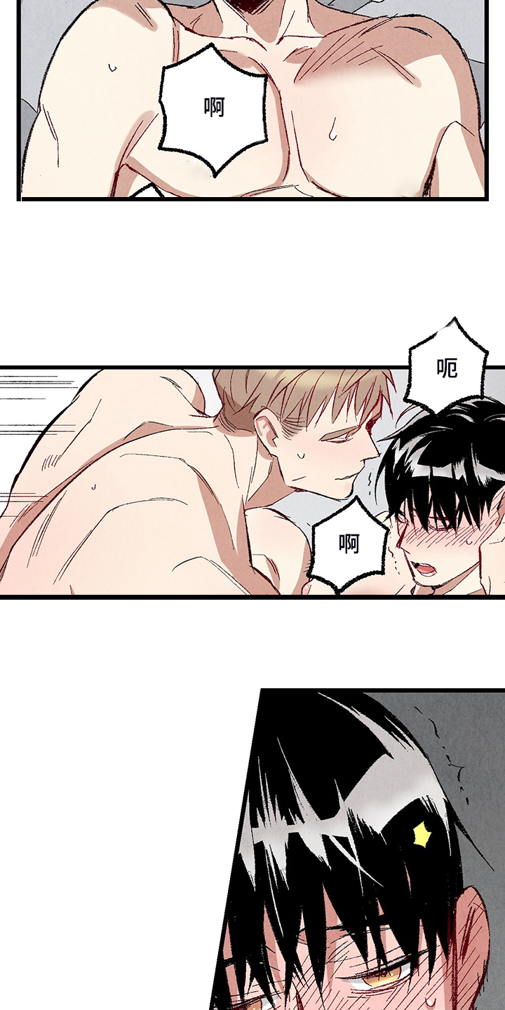 《完美伴侣》第75章【第二季】我才刚开始 第16页