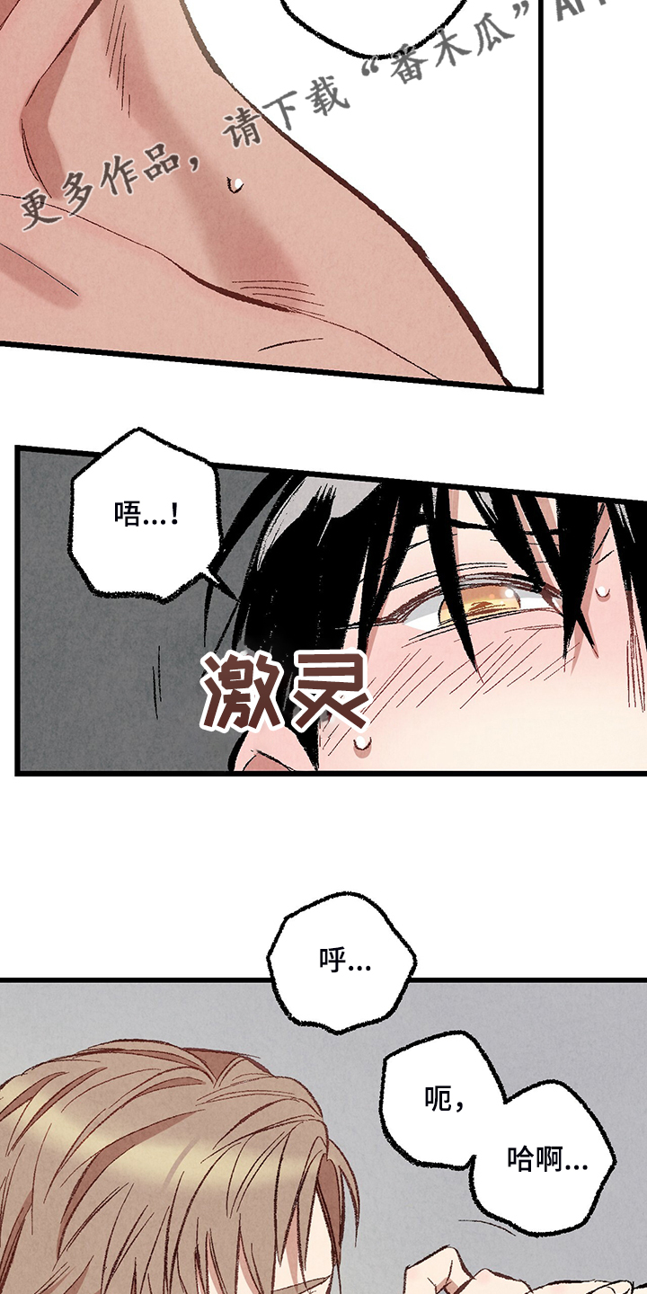 《完美伴侣》第75章【第二季】我才刚开始 第2页