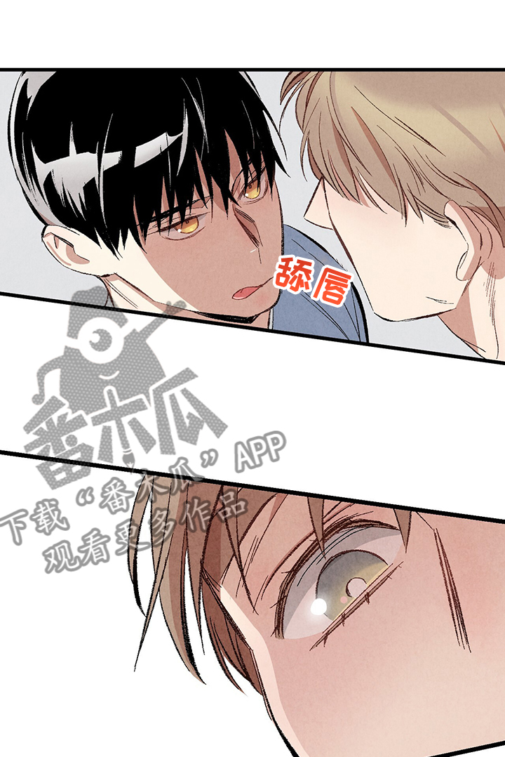 《完美伴侣》第73章【第二季】不安分的手 第26页
