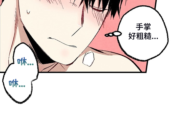 《完美伴侣》第74章【第二季】奇怪的喜好 第10页