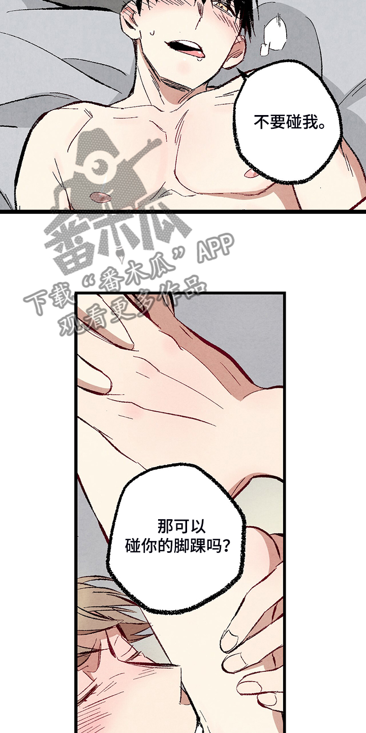 《完美伴侣》第74章【第二季】奇怪的喜好 第15页