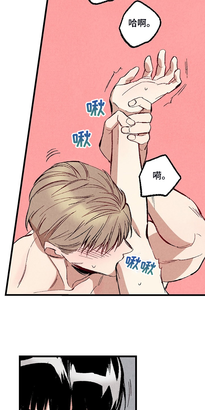 《完美伴侣》第74章【第二季】奇怪的喜好 第4页