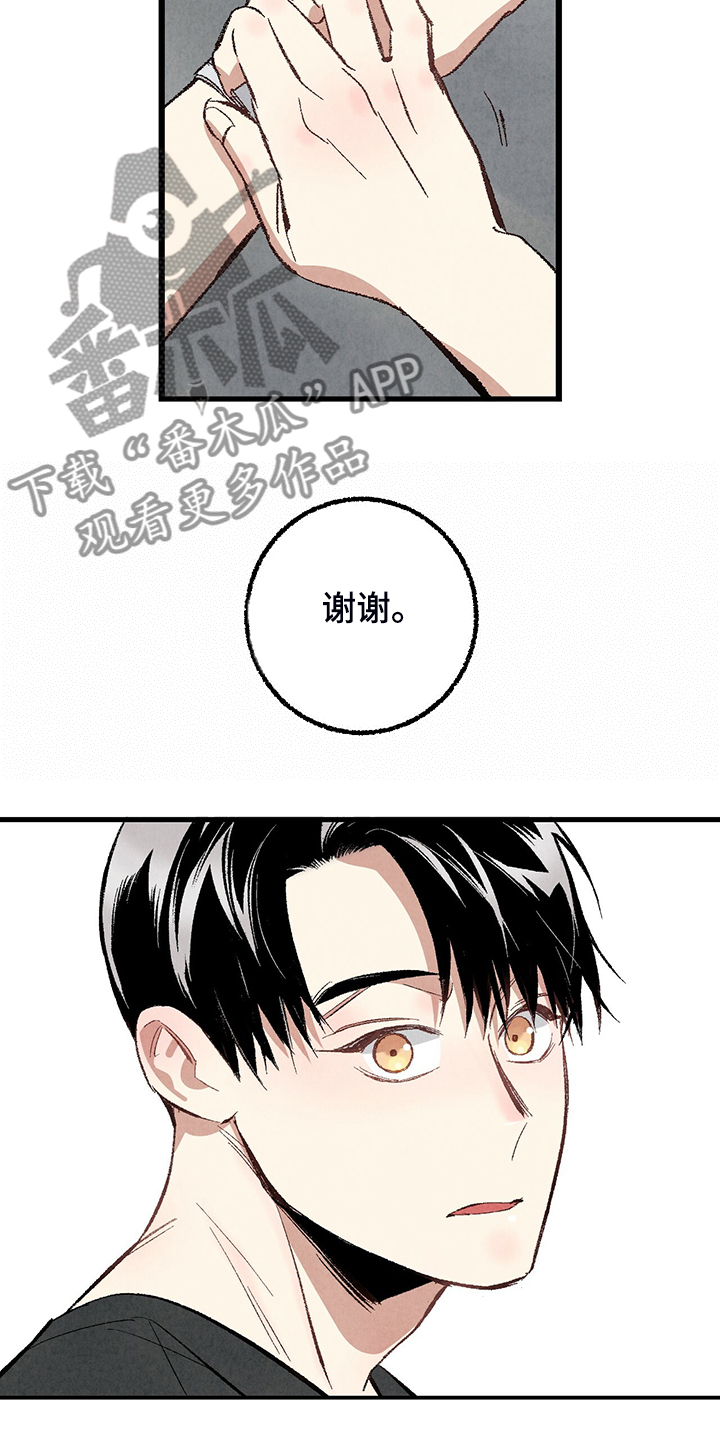 《完美伴侣》第72章【第二季】睡得好可怜 第16页