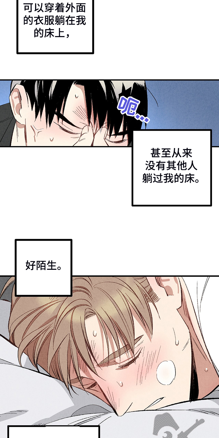 《完美伴侣》第72章【第二季】睡得好可怜 第18页