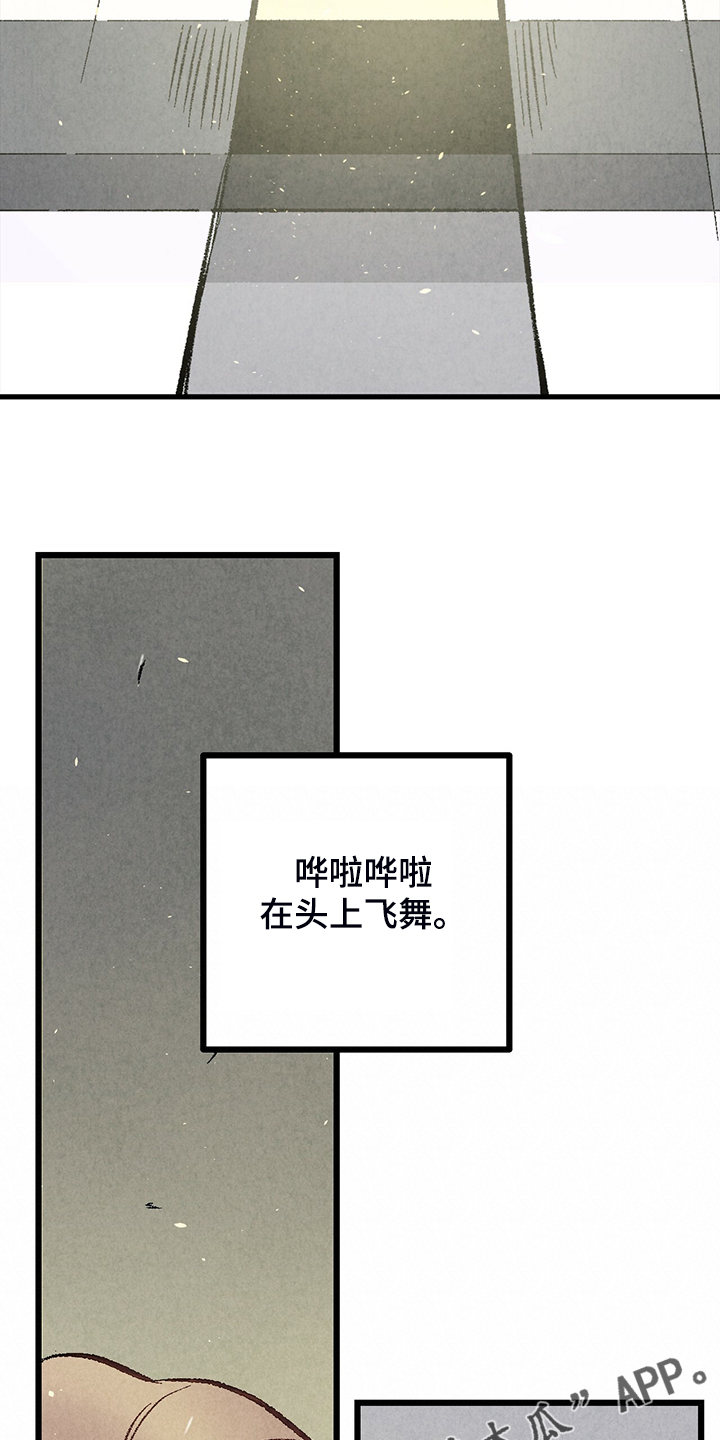 《完美伴侣》第72章【第二季】睡得好可怜 第23页