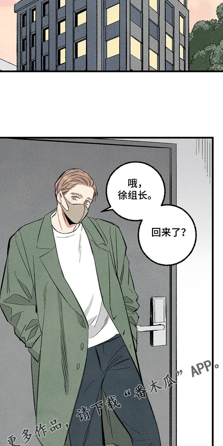 《完美伴侣》第71章【第二季】私自串门 第11页