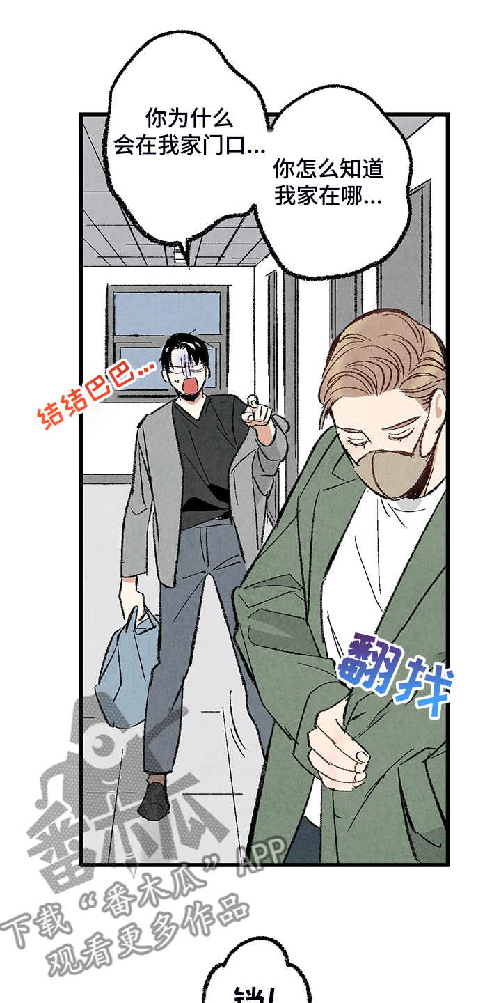 《完美伴侣》第71章【第二季】私自串门 第14页