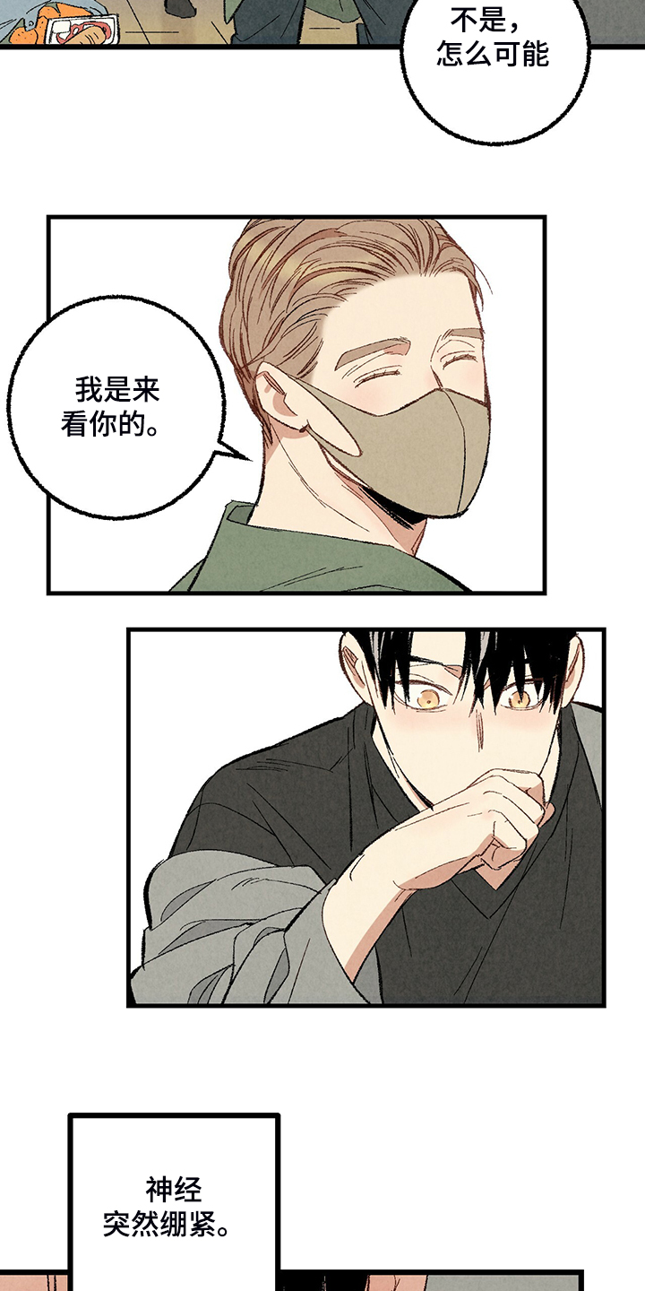 《完美伴侣》第71章【第二季】私自串门 第17页