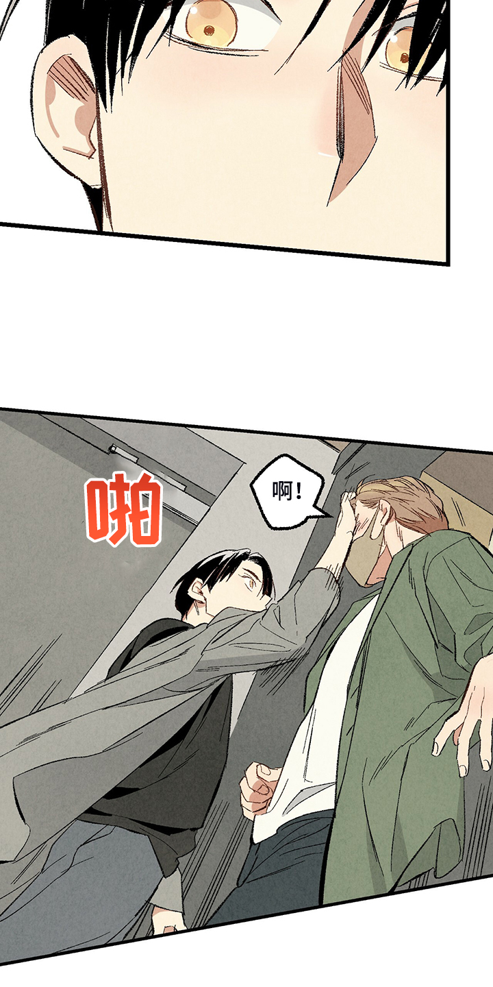 《完美伴侣》第71章【第二季】私自串门 第24页