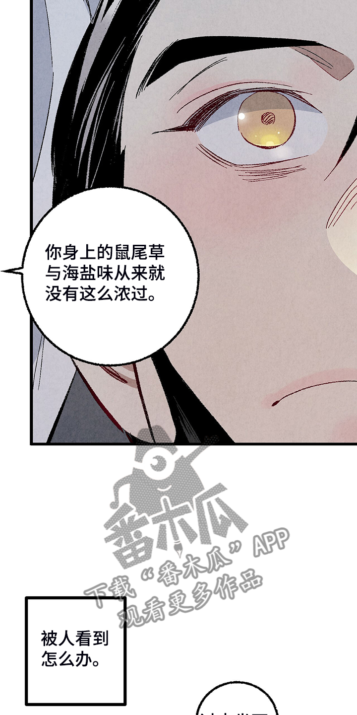 《完美伴侣》第78章【第二季】出什么事了吗 第11页