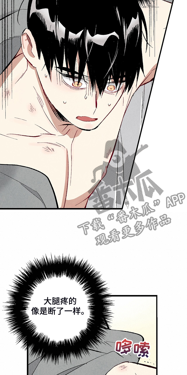 《完美伴侣》第77章【第二季】重复的梦 第16页