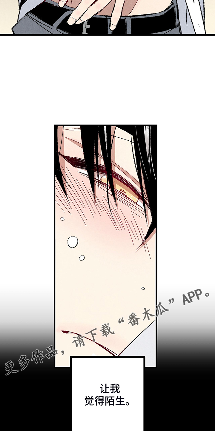 《完美伴侣》第77章【第二季】重复的梦 第26页