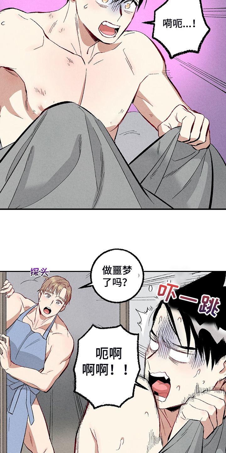《完美伴侣》第77章【第二季】重复的梦 第6页