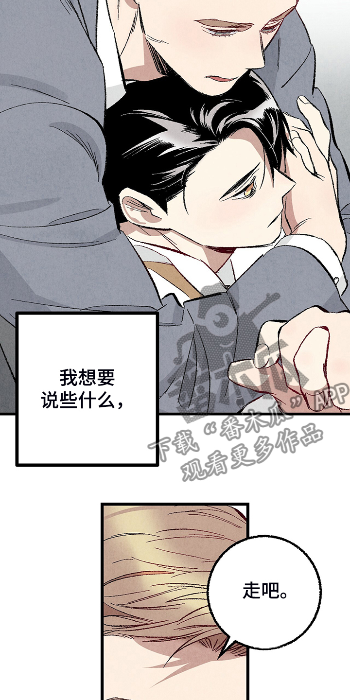 《完美伴侣》第80章【第二季】查到了 第11页
