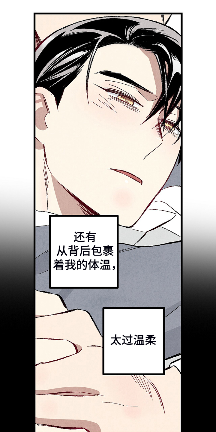 《完美伴侣》第80章【第二季】查到了 第13页
