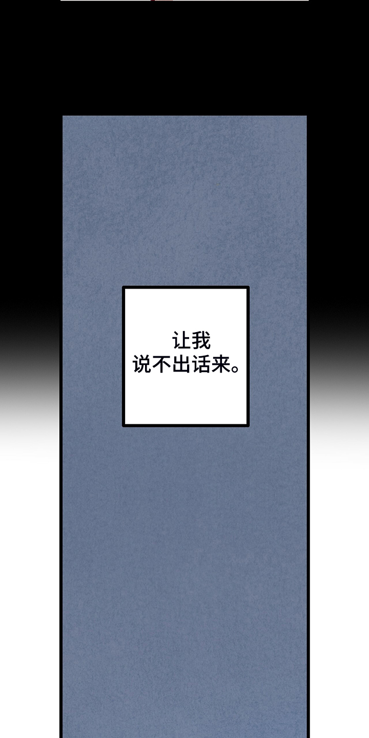 《完美伴侣》第80章【第二季】查到了 第14页