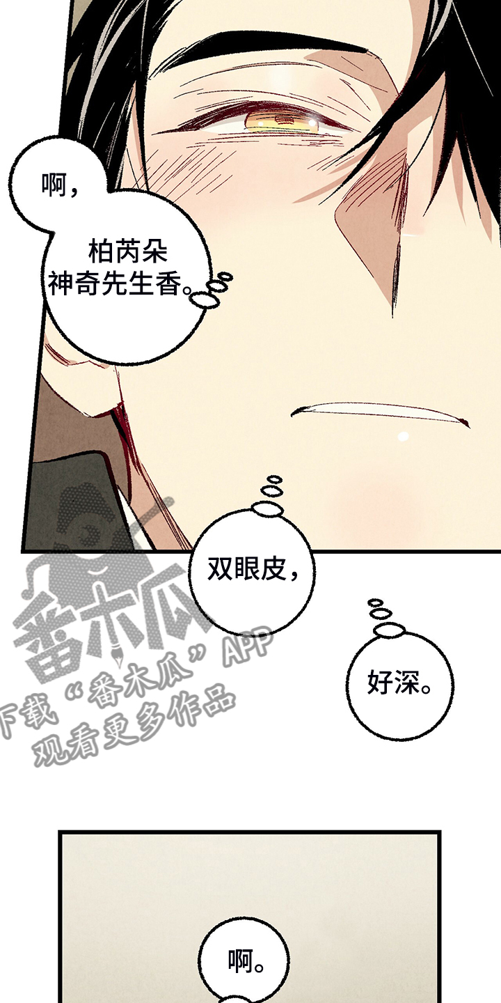 《完美伴侣》第80章【第二季】查到了 第19页