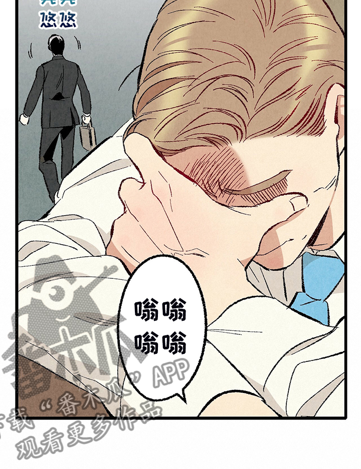 《完美伴侣》第80章【第二季】查到了 第25页