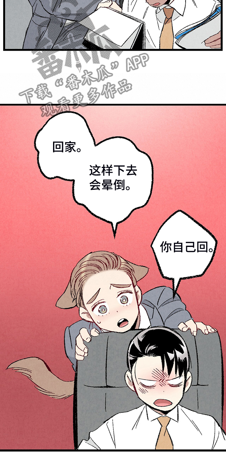《完美伴侣》第80章【第二季】查到了 第8页