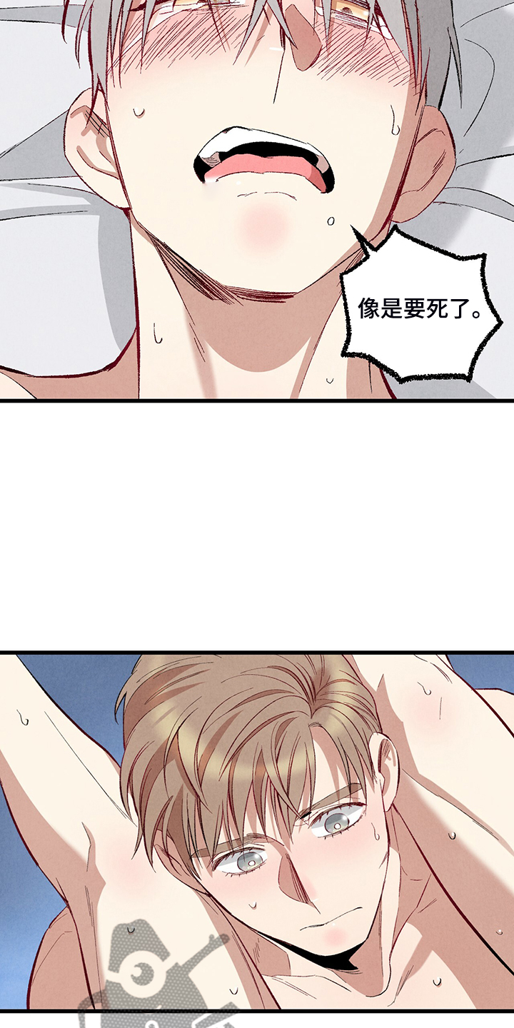 《完美伴侣》第76章【第二季】像受伤的猫 第10页