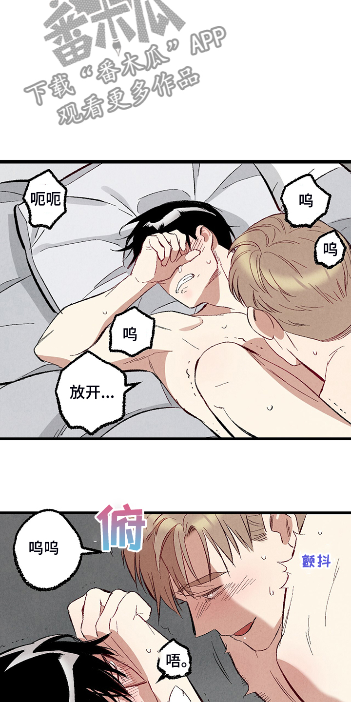 《完美伴侣》第76章【第二季】像受伤的猫 第11页
