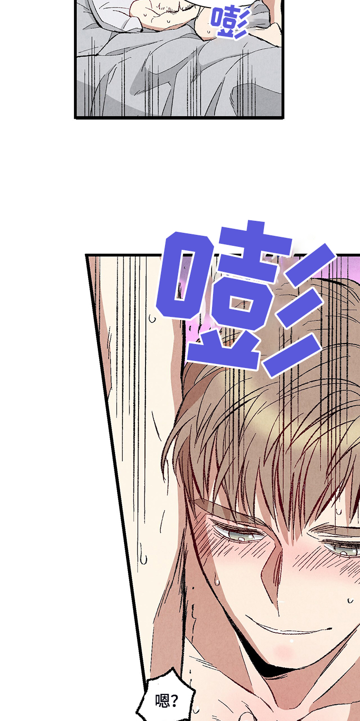 《完美伴侣》第76章【第二季】像受伤的猫 第14页