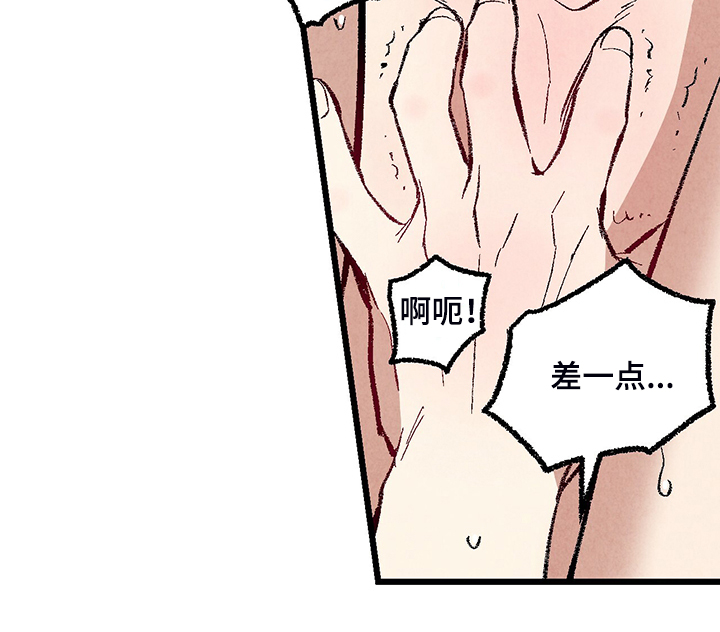 《完美伴侣》第76章【第二季】像受伤的猫 第15页