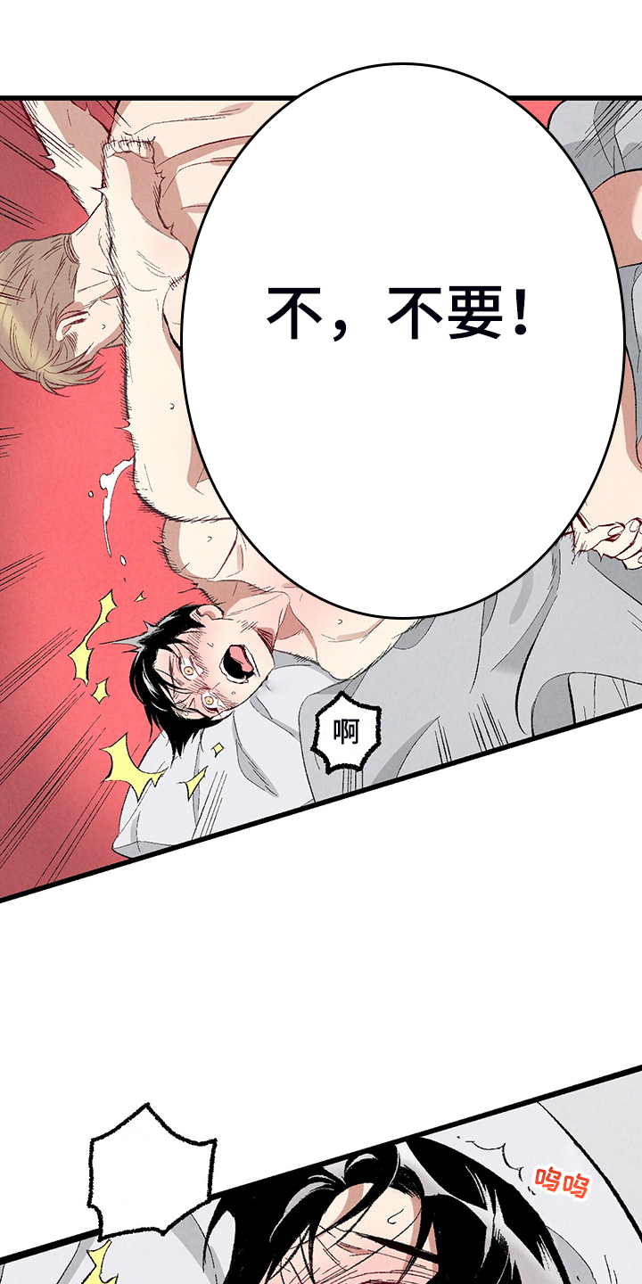 《完美伴侣》第76章【第二季】像受伤的猫 第16页