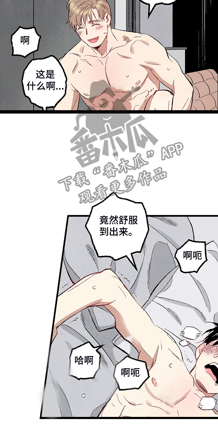 《完美伴侣》第76章【第二季】像受伤的猫 第18页