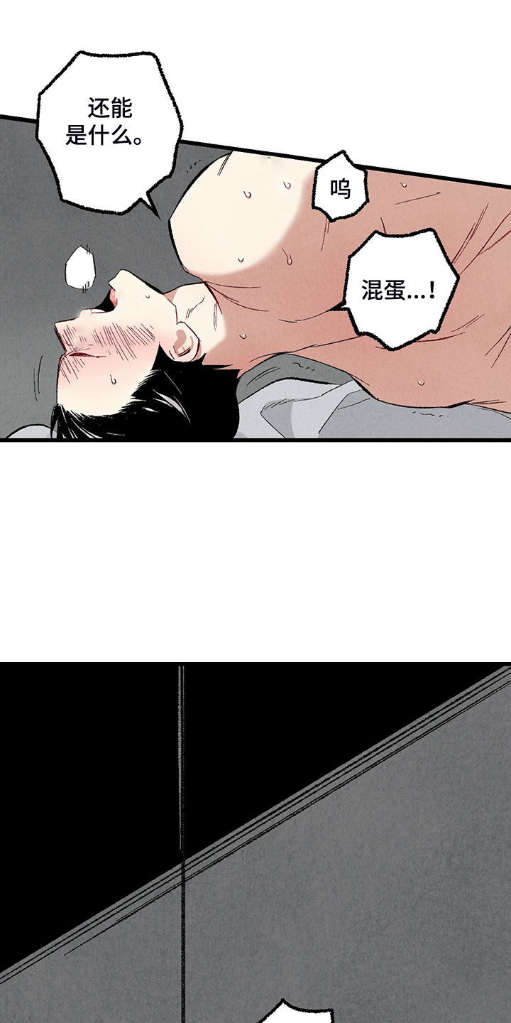 《完美伴侣》第76章【第二季】像受伤的猫 第19页
