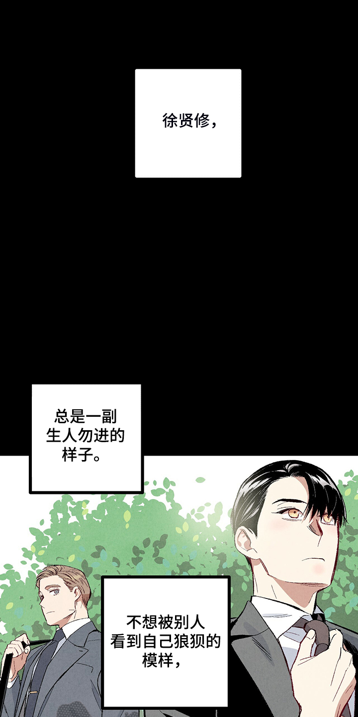 《完美伴侣》第76章【第二季】像受伤的猫 第25页