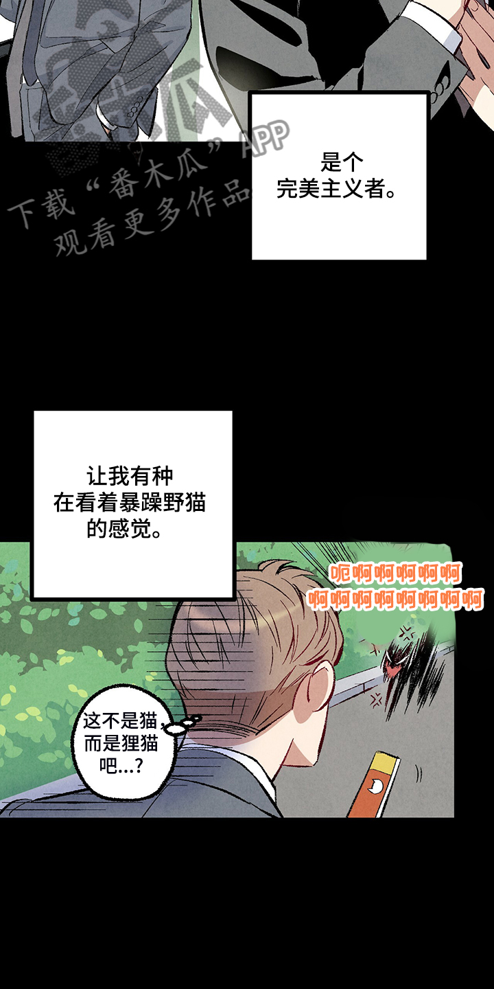 《完美伴侣》第76章【第二季】像受伤的猫 第26页