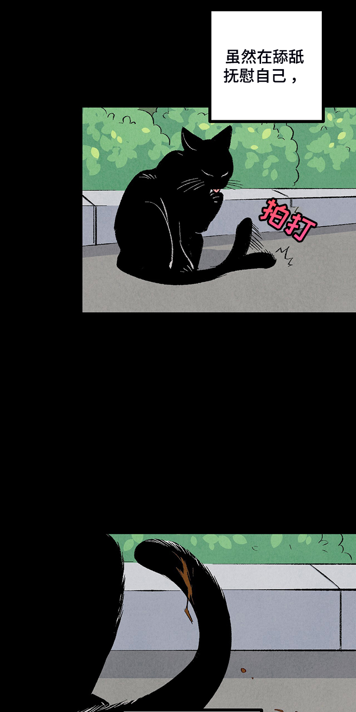 《完美伴侣》第76章【第二季】像受伤的猫 第27页